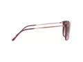 Ray-Ban Solglasögon RB 4344 653432