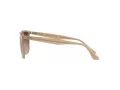 Ray-Ban Solglasögon RB 4362 6166/13