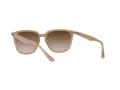 Ray-Ban Solglasögon RB 4362 6166/13