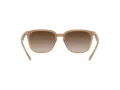 Ray-Ban Solglasögon RB 4362 6166/13