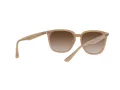 Ray-Ban Solglasögon RB 4362 6166/13