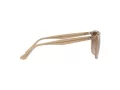 Ray-Ban Solglasögon RB 4362 6166/13