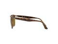 Ray-Ban Solglasögon RB 4362 710/73