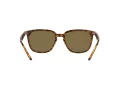 Ray-Ban Solglasögon RB 4362 710/73