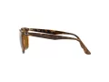 Ray-Ban Solglasögon RB 4362 710/83