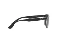 Ray-Ban Solglasögon RB 4374 6039/48