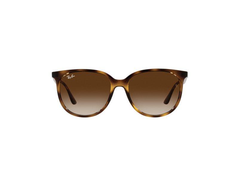 Ray-Ban Solglasögon RB 4378 710/13