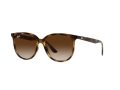 Ray-Ban Solglasögon RB 4378 710/13