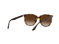 Ray-Ban Solglasögon RB 4378 710/13