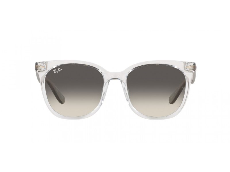 Ray-Ban Solglasögon RB 4379D 659811