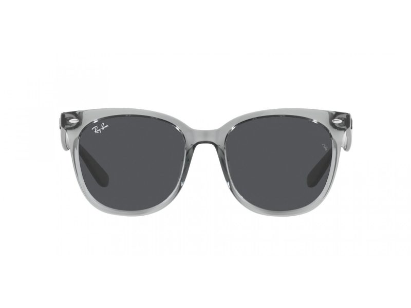 Ray-Ban Solglasögon RB 4379D 659987