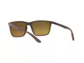 Ray-Ban Solglasögon RB 4385 6124/A3
