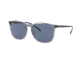 Ray-Ban Solglasögon RB 4387 639980