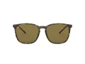 Ray-Ban Solglasögon RB 4387 710/73