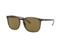 Ray-Ban Solglasögon RB 4387 710/73