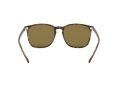 Ray-Ban Solglasögon RB 4387 710/73