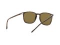 Ray-Ban Solglasögon RB 4387 710/73