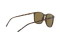 Ray-Ban Solglasögon RB 4387 710/73