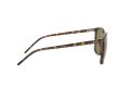 Ray-Ban Solglasögon RB 4387 710/73