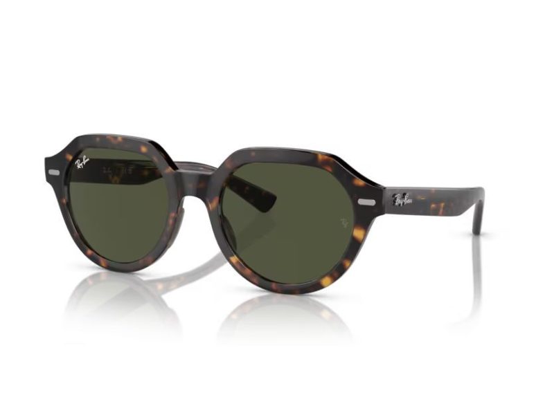 Ray-Ban Gina Solglasögon RB 0RB4399 902/31