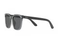 Ray-Ban Solglasögon RB 4401D 659981