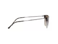 Ray-Ban New Clubmaster Solglasögon RB 4416 710/51