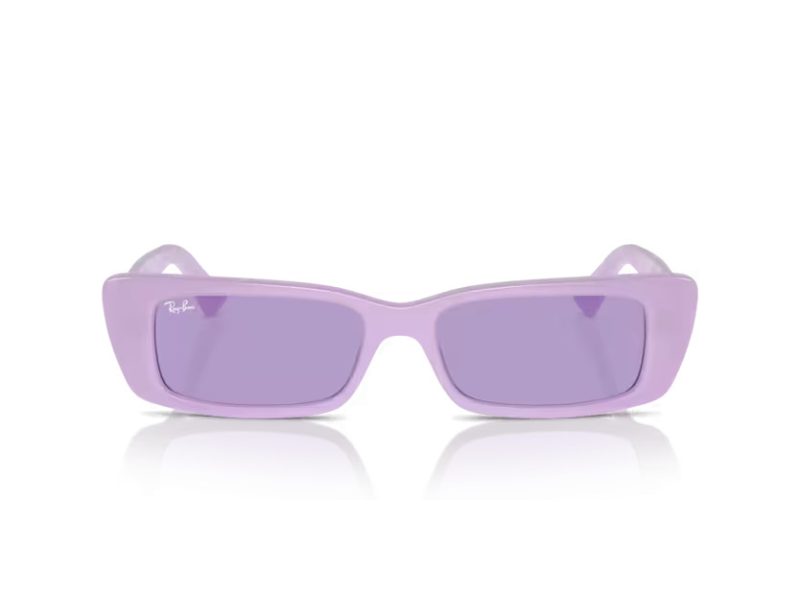 Ray-Ban Teru Solglasögon RB 4425 67581A