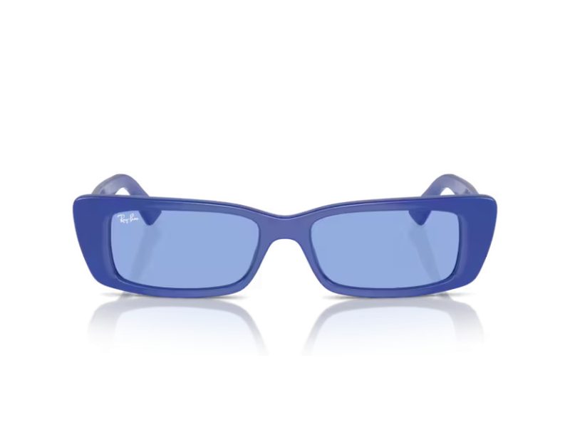 Ray-Ban Teru Solglasögon RB 4425 676180
