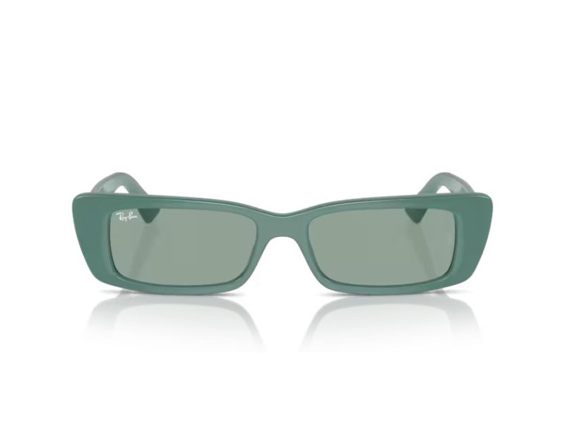 Ray-Ban Teru Solglasögon RB 4425 676282