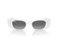 Ray-Ban Kat Solglasögon RB 4427 675911