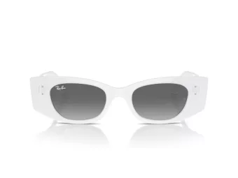 Ray-Ban Kat Solglasögon RB 4427 675911