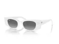 Ray-Ban Kat Solglasögon RB 4427 675911