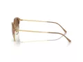 Ray-Ban Solglasögon RB 0RB4429 672151