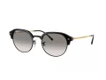 Ray-Ban Solglasögon RB 0RB4429 672332