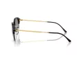 Ray-Ban Solglasögon RB 0RB4429 672332
