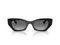 Ray-Ban Zena Solglasögon RB 4430 667711