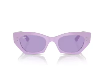 Ray-Ban Zena Solglasögon RB 4430 67581A