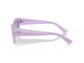 Ray-Ban Zena Solglasögon RB 4430 67581A