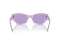 Ray-Ban Zena Solglasögon RB 4430 67581A