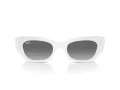 Ray-Ban Zena Solglasögon RB 4430 675911
