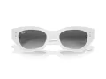 Ray-Ban Zena Solglasögon RB 4430 675911