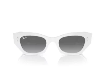 Ray-Ban Zena Solglasögon RB 4430 675911