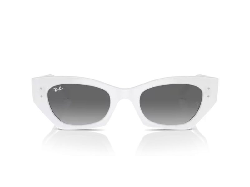 Ray-Ban Zena Solglasögon RB 4430 675911