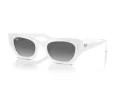 Ray-Ban Zena Solglasögon RB 4430 675911