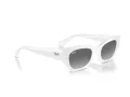 Ray-Ban Zena Solglasögon RB 4430 675911