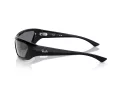 Ray-Ban Xan Solglasögon RB 4431 66776V