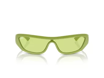 Ray-Ban Xan Solglasögon RB 4431 6763/2