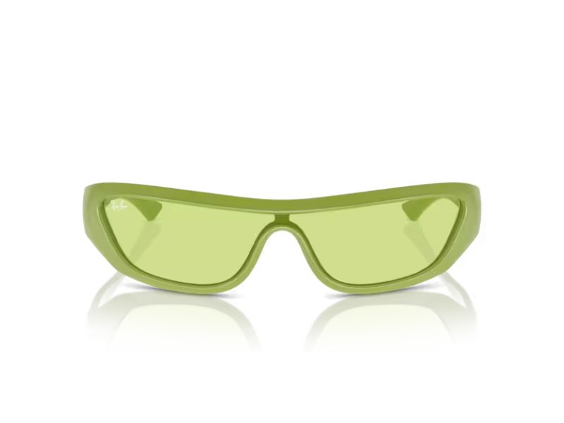 Ray-Ban Xan Solglasögon RB 4431 6763/2