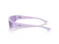 Ray-Ban Izaz Solglasögon RB 4432 67581A