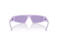 Ray-Ban Izaz Solglasögon RB 4432 67581A